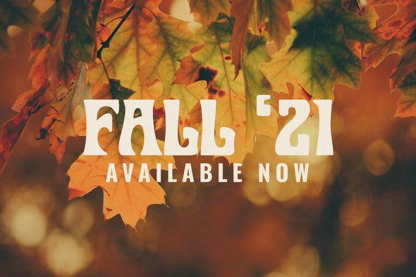 Fall 21 Collection